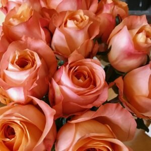 Rejuvenating Rose Water